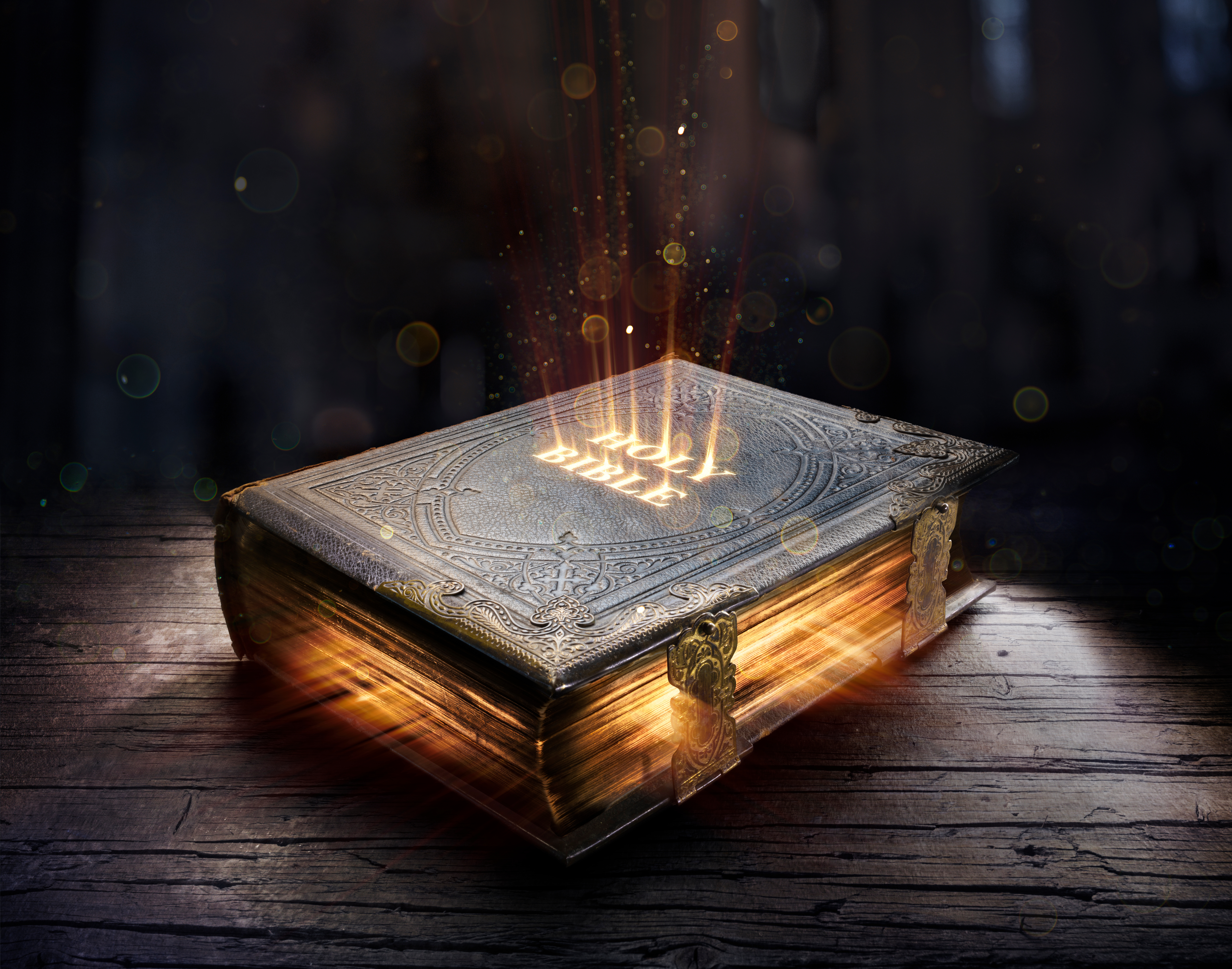 Interfaz de la Biblia